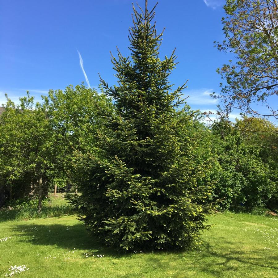 Lieu Dit Le Jardin Saint-Lambert  Екстер'єр фото